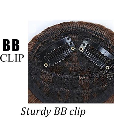 Bangs Hair Clip Long Bangs Clip In on Front Hair Bang Side Fringe Hair Extension Natural Synthetic Bangs Hair Accessories for Women Bangs Clip in Hair (Color : 2199 Size : 11.81inch) 11.81inch 2199 - Buy Online on GoSupps.com