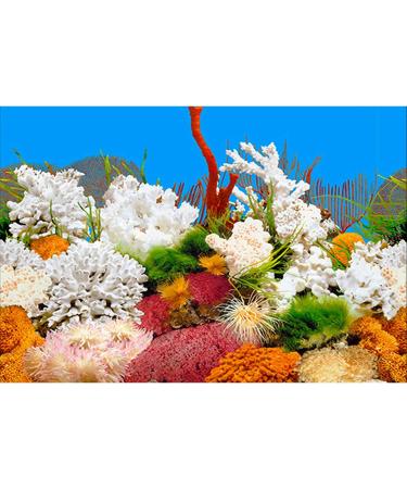 ELEBOX 20x48 Fish Tank Background - 2 Sided River Bed & Lake Aquarium Decor - H 19.5 x L 48 - Premium Quality - Buy Online on GoSupps.com