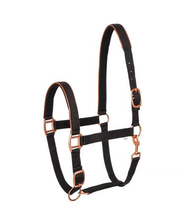 Start neoprene halter for horses thoroughbred bangs - stable halter with a two -stage adjustment - chin and neck piece - pasture horse halter warmblood wicker -fed (black/rose gold cob) COB (thoroughbred) black/gold