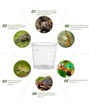 Balacoo 20pcs Pet Feeding Cup Paint Measuring Cups Small Gecko Food and Water Cups Reptile Feeder Cup Animal - Buy Online on GoSupps.com