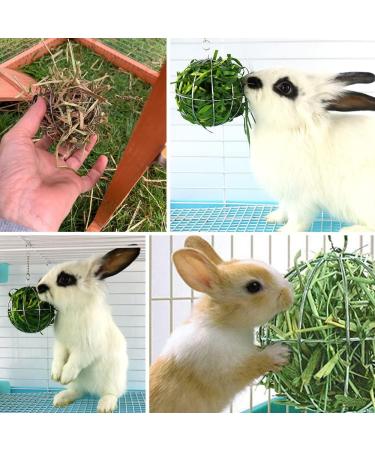 2 Pieces Rabbit Hay Feeder Rabbit Hay Ball Stainless Rabbit Grass Ball Pet Hay Rack Bowl Accessories for Guinea Pig Small Animal Pet - Buy Online on GoSupps.com