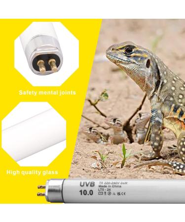 DERNORD T5 UVB Fluorescent Tube - 10.0 24W UV Tube Light Bulb 24 Inch Reptile Heat Lamp Tube Light for Tortoise Bearded Dragons Vivarium Lighting 24W 10.0 - Buy Online on GoSupps.com