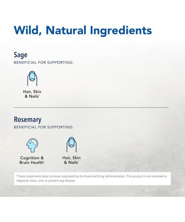 NORTH AMERICAN HERB & SPICE BoneActiv - 2 fl. oz. - Bone & Joint Rubbing Oil - Supports Healthy Bones - Non-GMO Vegan - 346 Servings 2 Ounce - Buy Online on GoSupps.com