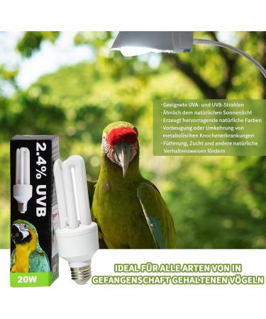 LUCKY HERP 2.4 UVB Bird Lamp | 20W UVA UVB Bulb for All Birds | Compact Fluorescent Lighting for Optimal Bird Health - Buy Online on GoSupps.com