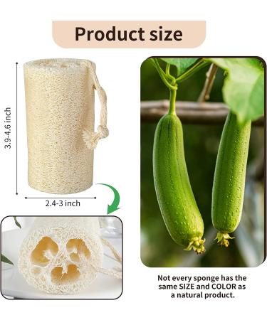 Natural Loofah Sponge for Exfoliating Body Scrubber - 3 Pack for Men and Women - Eco-Friendly and Skin Care Benefits for a Radiant Appearance - Buy Online on GoSupps.com