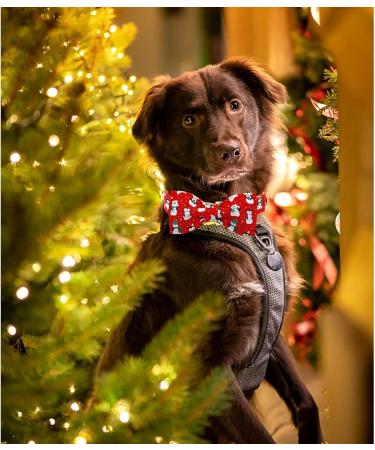 Buy Lionheart Glory Christmas Dog Collar - Adjustable Red Penguin Soft Fly Collar for Medium Dogs - Perfect Holiday Gift - Buy Online on GoSupps.com