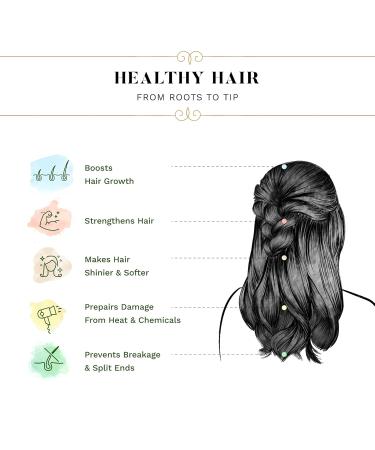 Sesa Onion Shampoo 300ml | Natural Hair Growth & Damage Control | Paraben & Sulphate Free | Reetha & Shikakai | Buy Online - Buy Online on GoSupps.com