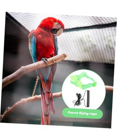 Beavorty 2 Sets Bird Leash Lizard Leash Pet Bird Harness and Leash Chicken Harness for Birds Parrot Bird 12X6X1.3CMx2pcs Greenx2pcs - Buy Online on GoSupps.com