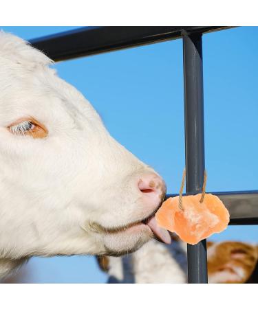 POPETPOP Salt Brick Blocks Livestock Salt Lick Animal Cow Lick Blocks Salt Block Livestock Natural Salt Small Pet Nutrition - Buy Online on GoSupps.com