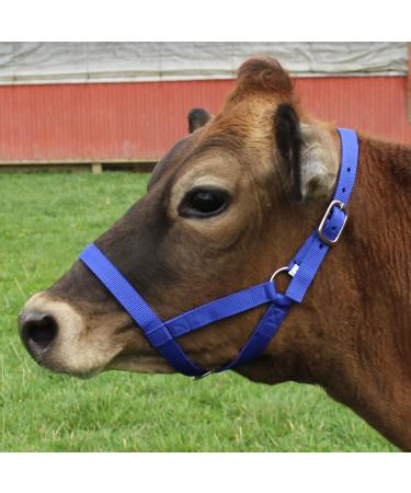 Derby Originals Adjustable Nylon Livestock Cattle Halter - Large (800-1400lbs) Red - Buy Online on GoSupps.com