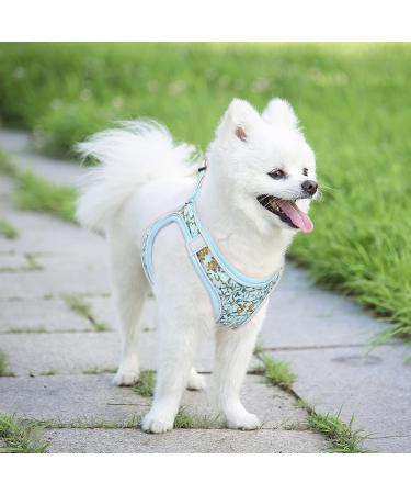 Heele Small Soft Dog Dishes & Adjustable Puppy Harness Vest | Reflective Air Mesh Control for Training & Walking - Vine Cyan XS - Buy Online on GoSupps.com