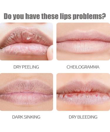 8Pcs Fruit Flavored Lip Care Set : Glosses + Night Balms + Colorless Lipsticks + Moisturizing Masks Mini Lip Balm Set Moisturizing Lipstick (4PCS) 1 Count (Pack of 8) - Buy Online on GoSupps.com