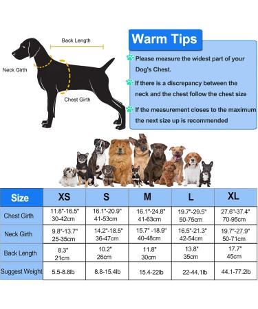 Petglad Dog Life Jacket Wings Design | Reflective Flotation Swim Vest for Dogs | Pink L (Chest Girth 19.7 - 29.5) | Ideal for Pool, Beach, Boating | Puppy to Large Size - Buy Online on GoSupps.com