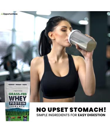 Grass Fed Whey Protein Powder Isolate - Unflavored - Low Carb Keto & Paleo Diet Friendly - Pure Grass-Fed Protein for Shakes  Smoothies  Drinks & Recipes- Non GMO & Gluten Free - 1 Pound Unflavored 1 Pound (Pack of 1) - Buy Online on GoSupps.com