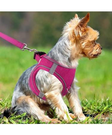 Joyal Reflective Soft Padded Dog Harness for Small Dogs | Air-Mesh Breast Dishes in Bright Pink | Perfect Fit for Puppies (S: 38-42cm) - Buy Online on GoSupps.com