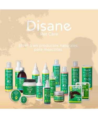 DISANE Natural Dog Conditioner Shampoo for Curly-Haired Dogs with Avocado Oil 250ml | Nourishing & Repairing Coat, Prevents Frizz, Enhances Curls - Buy Online on GoSupps.com
