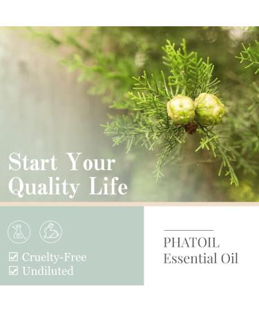 Pure Cypress Essential Oil 10ML - Undiluted & Cruelty-Free - for Diffusers - 10.00 ml (Pack of 1) - Buy Online on GoSupps.com