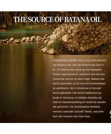 Opdestn Antihair loss shampoo bar hair growth shampoo soap Softens smoothes and adds shine Shampoo Bar Deep Moisturizing Conditioner Bar moisturizes and deeply hydrates Shampoo Bar for it - Buy Online on GoSupps.com