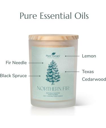 Buy Plant Therapy Northern Fir Candle - 8 oz Hand-Poured Coconut & Soy Wax Refreshing Forest Scent Frosted White Jar with Wooden Lid - International Shipping Available - Buy Online on GoSupps.com