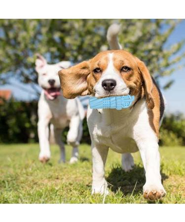 Durable Chicken Tool for Dogs | Robust Dog Toothbrush Toy for Aggressive Chewers | Large Dog Toy - Cola Cup Blue - Buy Online on GoSupps.com