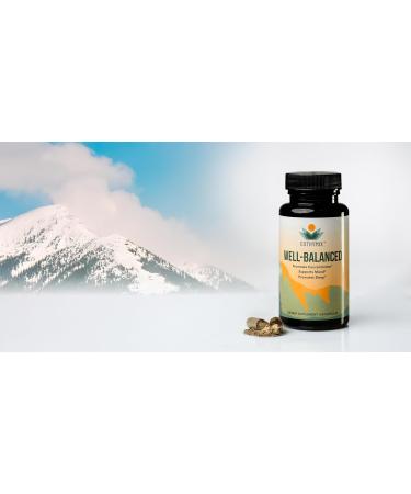 Euthymix "Well-Balanced - Buy Online on GoSupps.com