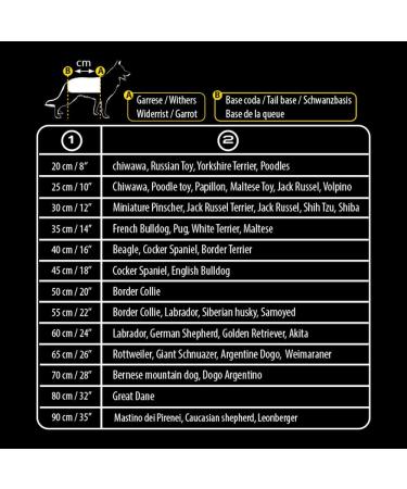 Croci Waterproof Hiking Raincoat for Dogs | Reflective Thermo-Regulating - Size 80 cm | Maximum Visibility & Comfort - Buy Online on GoSupps.com