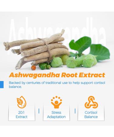 Puouoo 11-in-1 Cortisol Supplement for Women and Men Cortisol Reducer and Detox with Magnesium Ashwagandha & L-Theanine for Mood Focus Sleep Support 120 Capsules - Buy Online on GoSupps.com