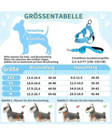 Eyin No-Pull Dog Harness with Leash & Soft Padded Reflective Adjustable Vest for Puppies Small & Large Dogs - Light Blue XS - Buy Online on GoSupps.com