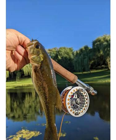 Kylebooker Fly Fishing Reel Large Arbor - Aluminum Body - 3/4wt 5/6wt 7/8wt - Silver - International Shipping Available - Buy Online on GoSupps.com