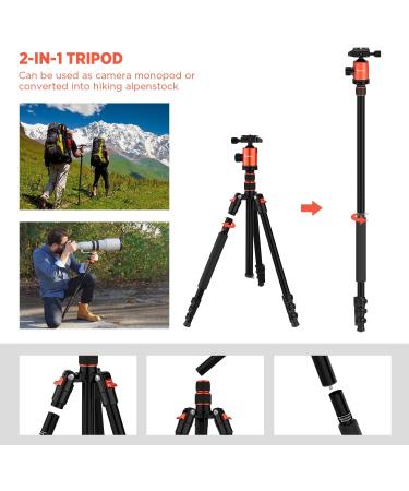 GEEKOTO 77'' DSLR Camera Tripod with 360 Ball Head - Lightweight & Durable - Buy Online on GoSupps.com