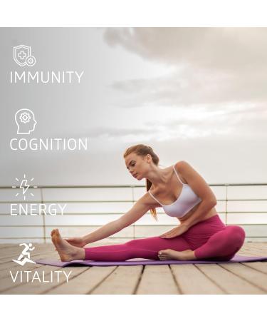 Number One Nutrition Methylated Multivitamin for Women & Men, Natural Daily Multivitamins with Folate, Vitamin B12, Vitamin B2 and B6, Non-GMO, Gluten-Free, 120 Caps - Buy Online on GoSupps.com