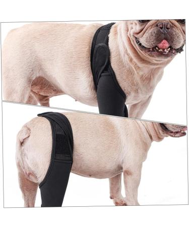 CORHAD Dog Leg Braces for Hindleg Comfortable Dog Knee Dog Back Leg Protector Puppy Pet Mesh Fabric Care M As Shown - Buy Online on GoSupps.com