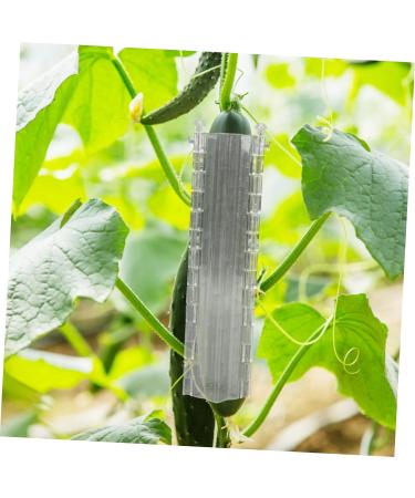 OFFSCH 2pcs Melon and Fruit Shaping Mold Cucumber Growing Cucumber Forming Shape Cucumber Heart Shape Heart Shaped Cucumber Star Mold Cucumber Shaping Molds Rigid Plastic Gourd - Buy Online on GoSupps.com