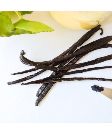 Grade 1 Organic Vanilla Bourbon Pods from Madagascar - Gourmet Black - 2 Pods 15-18 cm - AB Certified by Aroma Labs - Buy Online on GoSupps.com