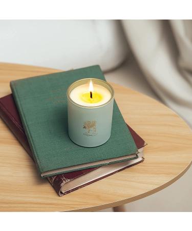 Sage Candle for Cleansing Negative Energy - 6 oz Highly Scented Soy Candle, 55 Hour Burn - Aromatherapy Jar Candle for Home Healing & Relaxation - Perfect Women's Gift - Buy Online on GoSupps.com