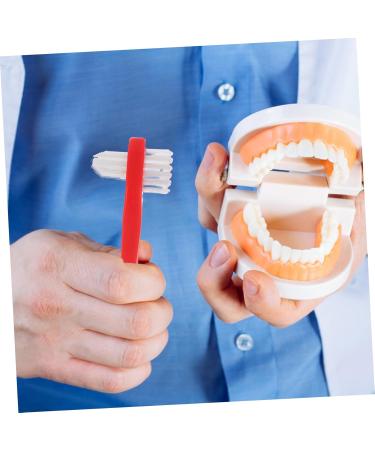 Hapinary 4-Piece Dental Care Set | False Toothbrush Retainers & Cleaning Tools for Dentures & Braces | Travel-Friendly Double-Headed Brushes - Buy Online on GoSupps.com