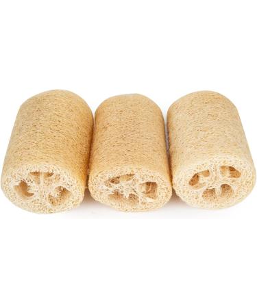 Organic Natural Loofah Body Scrubber for Radiant Skin - Exfoliating Beauty Bath Sponge (Primary Color) - Buy Online on GoSupps.com
