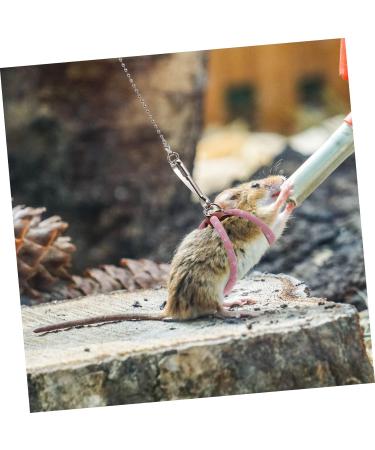 WOONEKY Pet Leash Outdoor Rabbit Leash Dwarf Hamster Harness Small Dog Harness Guinea Pig Leash Hamster Leash Harness Small Pet Harness Outdoor Vest Pink Round Rope Small Animals Dog Leash 60X6X2CM Pink - Buy Online on GoSupps.com
