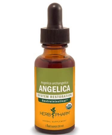 Herb Pharm Certified Organic Angelica Root Liquid Extract for Digestive Support 1 Fl Oz 1 Fl Oz (Pack of 1)