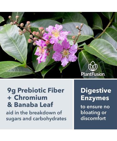 PlantFusion Complete Lean Plant Based Protein Powder - Prebiotic Fiber Superfoods & Digestive Enzymes - Vegan Gluten Free Soy Free Non-GMO - Vanilla 1.85 lb Vanilla 1.85 Pound (Pack of 1) - Buy Online on GoSupps.com