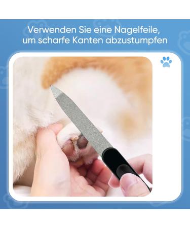 HOMJOY Professional Pet Nail Scissors & Files - Stainless Steel Nail Clippers for Dogs Cats Guinea Pigs - Safe & Durable Blue - Buy Online on GoSupps.com