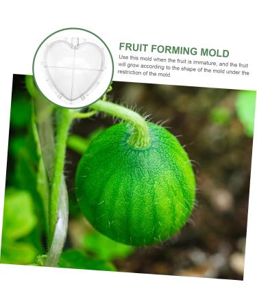 SUPVOX Fruit Forming Heart Shaped Watermelon Molds Fruit Watermelon Mould Vegetable Cucumber Shaper - Buy Online on GoSupps.com