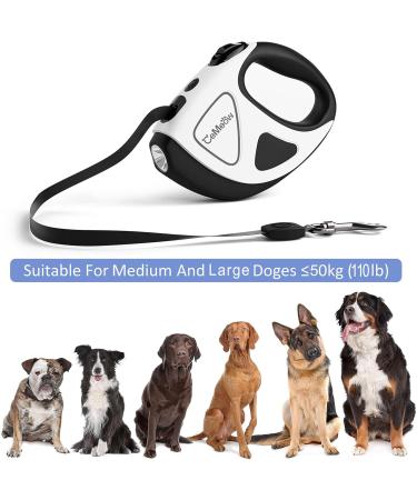 Buy Cemeow 5m Extendable Dog Leash with Flashlight & Safety Brake | Ergonomic Design for All Dog Sizes - Buy Online on GoSupps.com