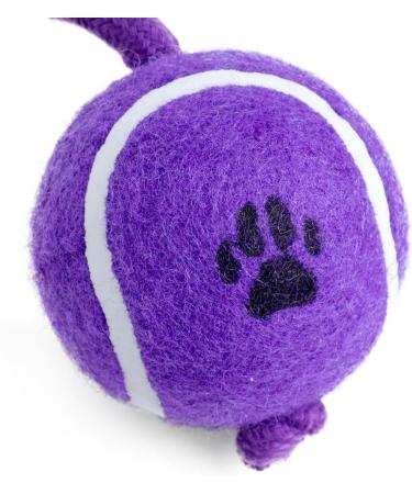 Petface Tennis Ball on a Rope - Durable Dog Toy for Fetch & Play | Fast International Shipping - Buy Online on GoSupps.com
