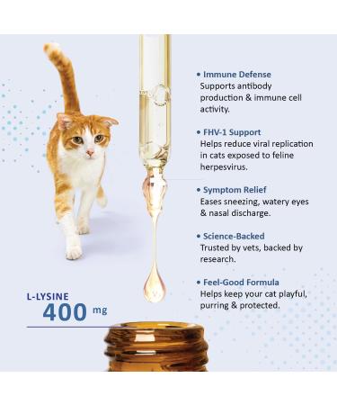 Felisyl L-Lysine Concentrate for Cats 2 oz Immune & Respiratory Support Supplement with DMG & Taurine Helps Relieve Sneezing Runny Nose Congestion Watery Eyes FHV-1 Symptoms Made in USA - Buy Online on GoSupps.com