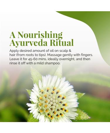 Life & Pursuits Organic Hair Growth Oil - Ayurvedic Scalp Therapy with Bhringraj, Amla, Coconut & Castor Oil - 6.76 fl oz - Buy Online on GoSupps.com