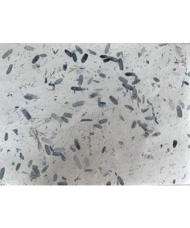 A4 Thin Mulberry Paper Sheets - 50 Sheets Art Tissue Washi Paper for Design, Craft, Origami - Card Making Supplies with Natural Fibers - Buy Online on GoSupps.com