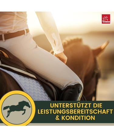 Vitamin E for Horses - Paste 30 ml Horse Vitamin E Vitamin B Complex Horse to Support Vitality Calcium Iron Zinc Horse Vitamins & Trace Elements Energy Performance for Horses Ponies - Buy Online on GoSupps.com