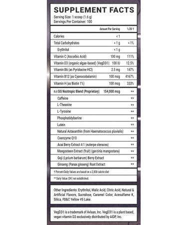 Gamer Supps GG Energy - Crusaderade by SwaggerSouls (100 Servings) - Keto Friendly Gaming Energy and Nootropic Blend, Sugar Free + Organic Caffeine + Vitamins + Immune Support, Powder Drink - Buy Online on GoSupps.com