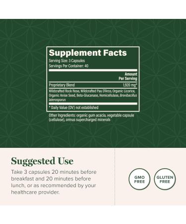 Global Healing Mycozil - Vegan Candida Cleanse & Detox Supplement for Gut & Vaginal Health - 120 Capsules - Buy Online on GoSupps.com